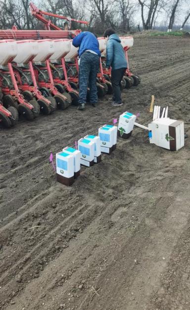 Сахарный сезон начался!