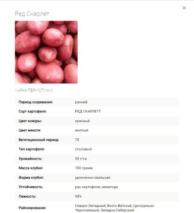 Ред Скарлетт