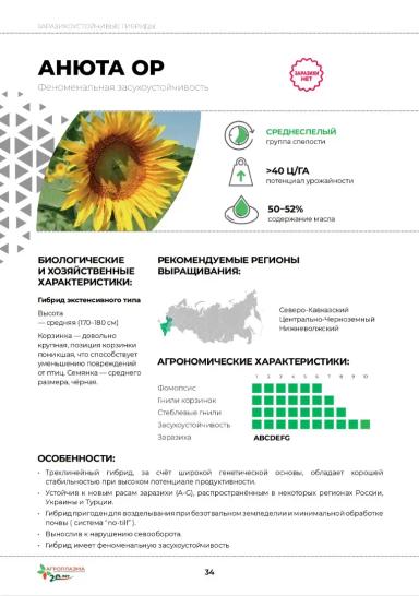 Анюта ОР гибрид подсолнечника