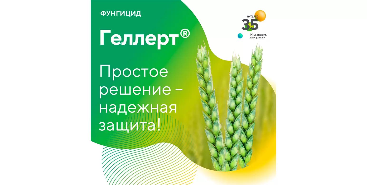 Зарегистрирован новый фунгицид Геллерт®