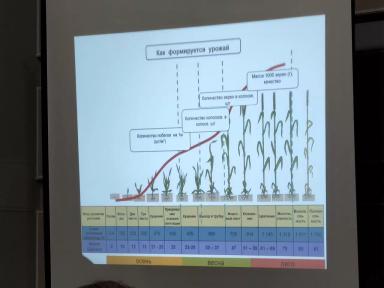 Как получать больше прибыли от производства зерна?