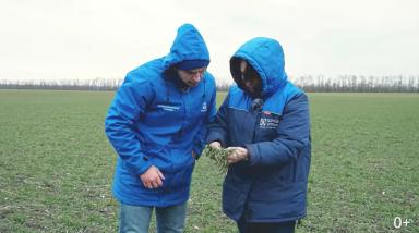 Весенне-полевые работы – советы от ФосАгро