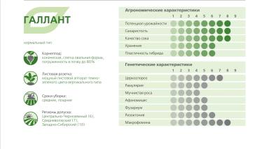 ГАЛЛАНТ