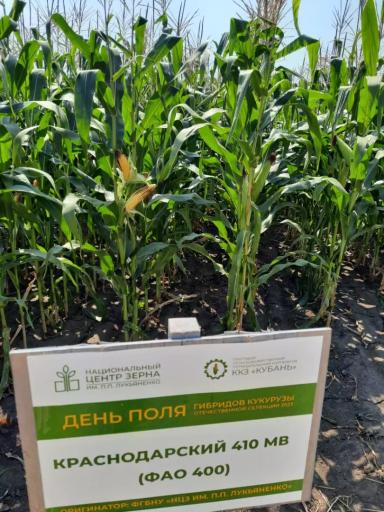 КРАСНОДАРСКИЙ 410 МВ