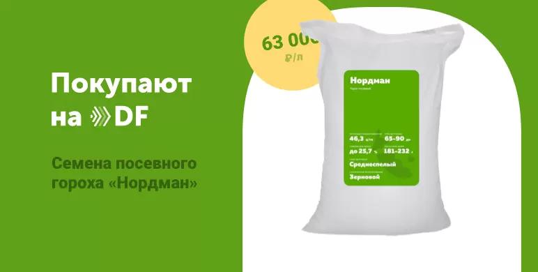 Семена гороха Нордман. Купите на Direct.Farm