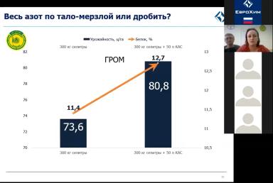 Система удобрения озимой пшеницы
