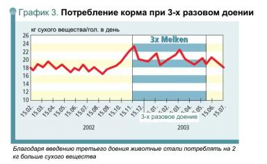 Трехразовое доение коров. Стоит ли?