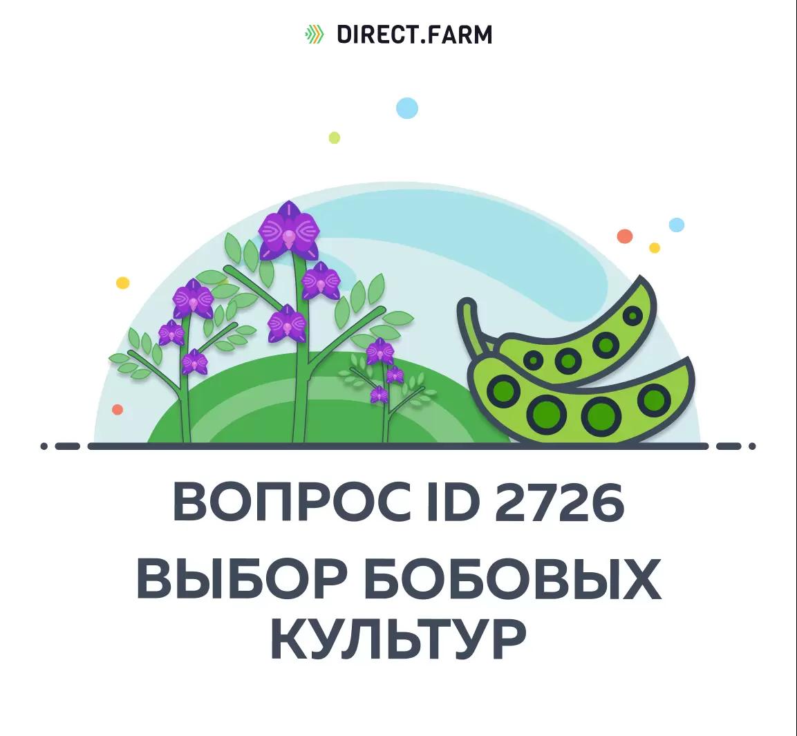 Что лучше - вика или горох?