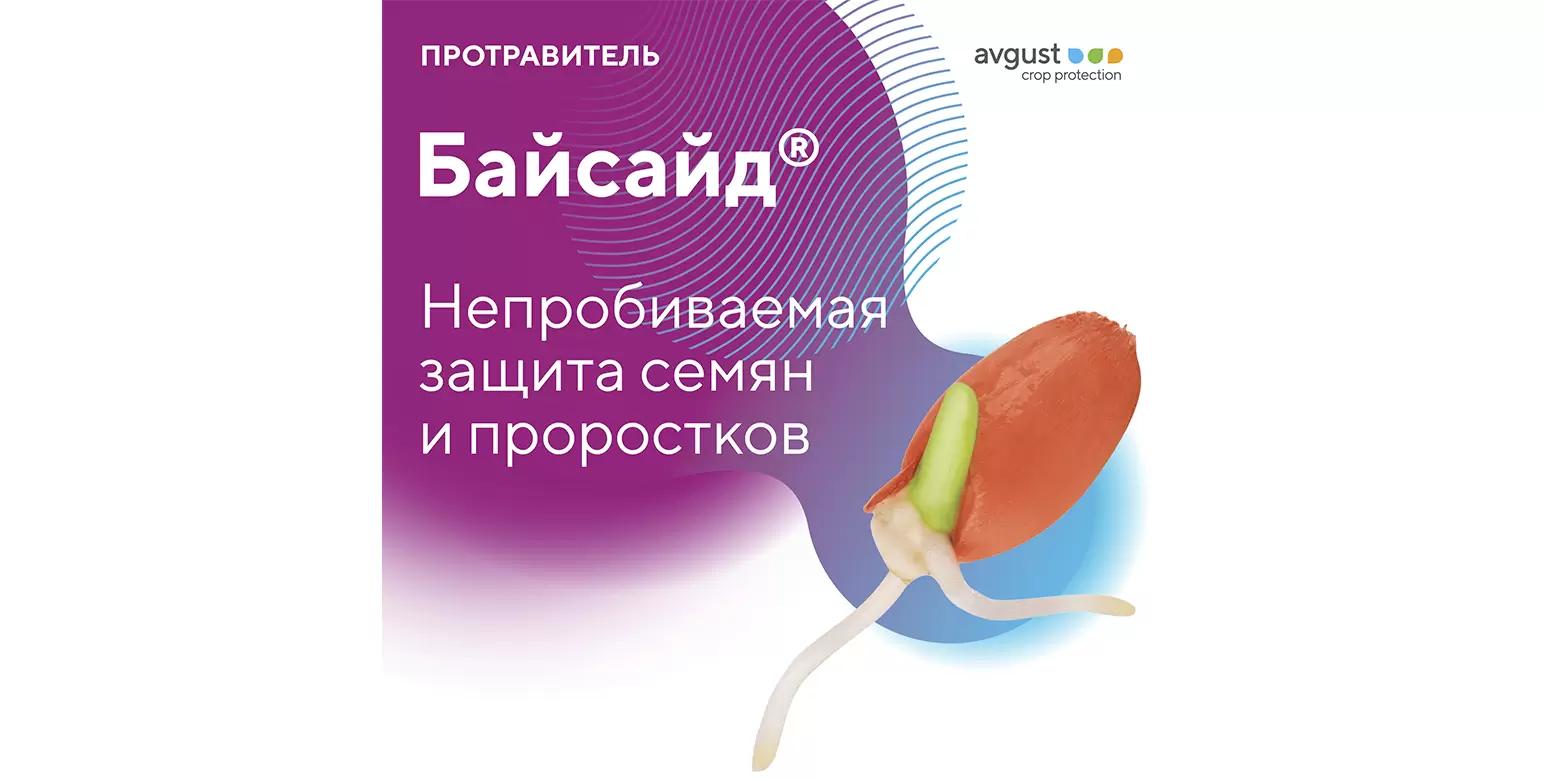 Байсайд® – фунгицидный протравитель семян зерновых