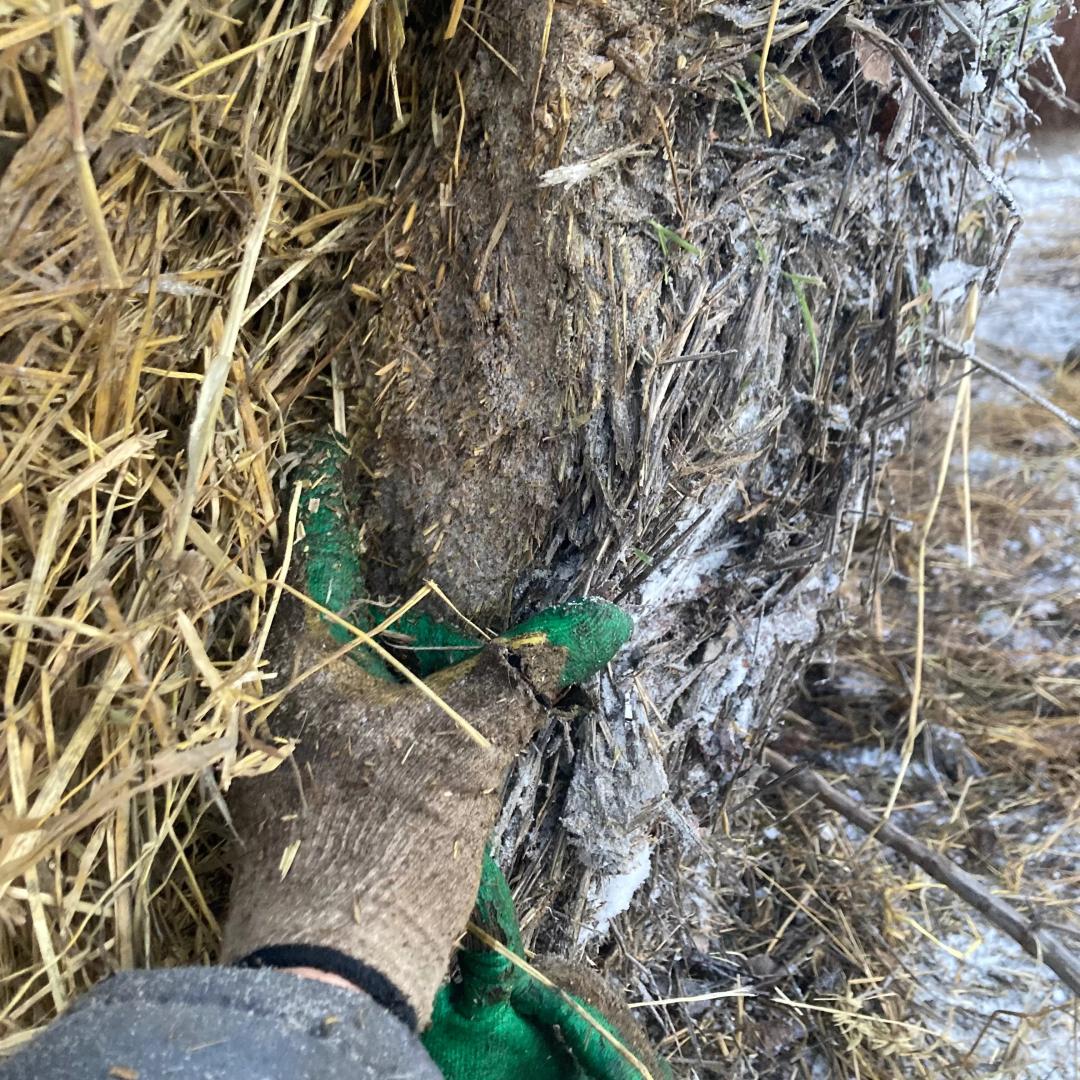 Пришёл мороз пора доставать топор.  Стройте навесы или хотя бы накрывайте