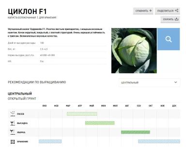 Циклон F1 (CYCLONE)