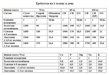 Регламент производства овечьего молока. Кормление по группам