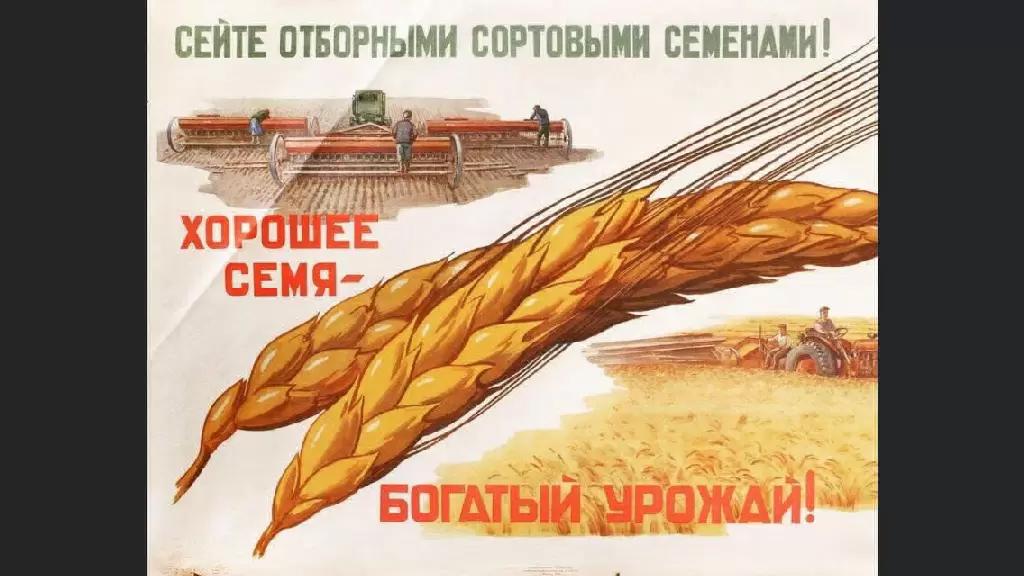 Соя Сильные семена