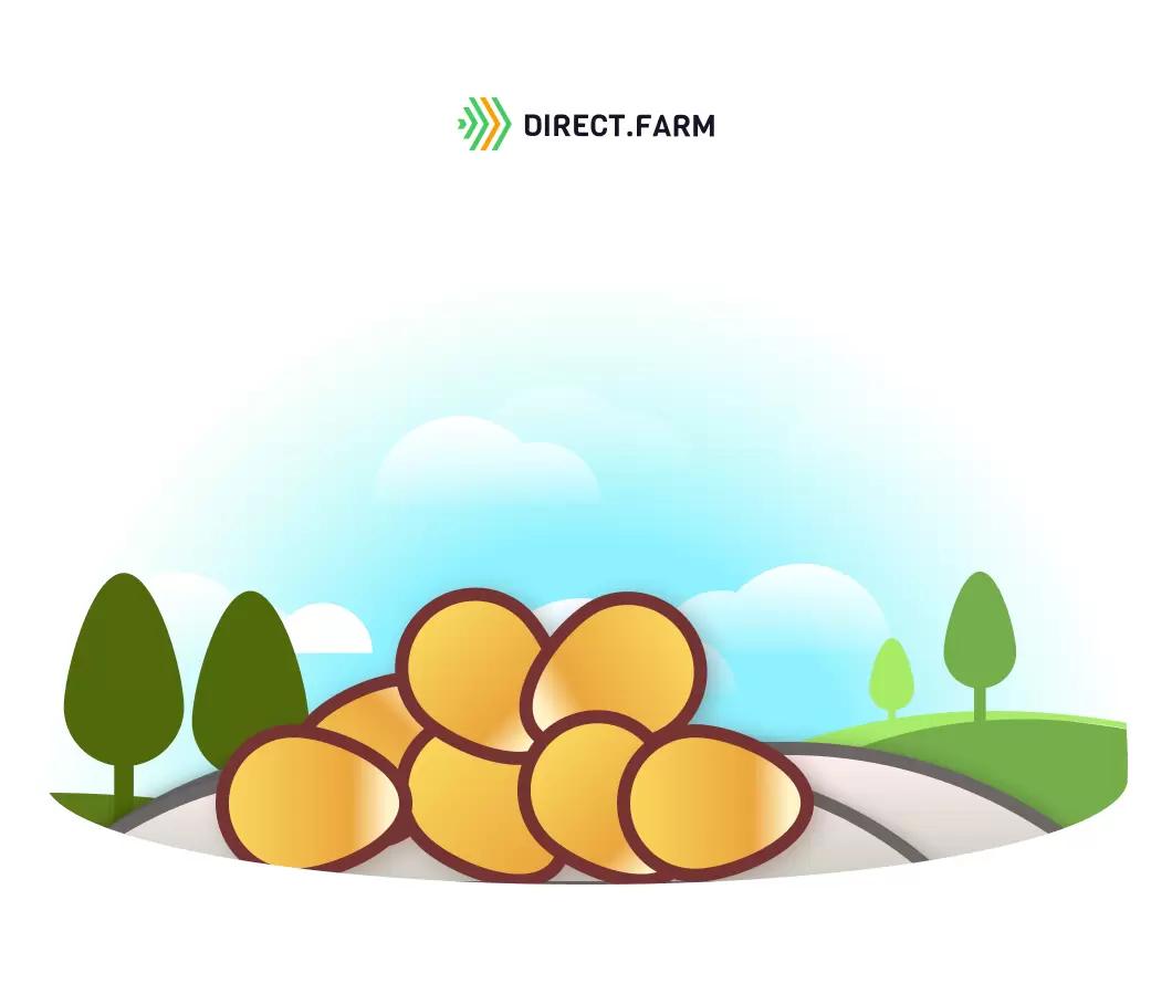 Как закладывать плющеную кукурузу влажностью 20% в рукав?