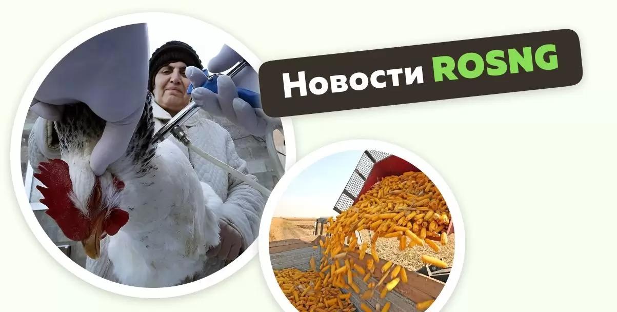 Обзор новостей за 30 октября