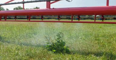 НАЙТИ И УНИЧТОЖИТЬ: снайперский выстрел Agrifac по сорнякам...