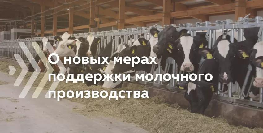 Насколько эффективны новые меры поддержки производителей молока