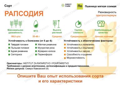 Рапсодия