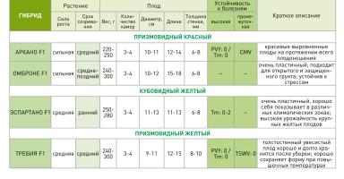 Омброне F1 (OMBRONE)