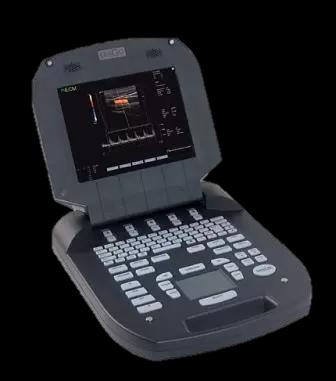 И снова о УЗИ семенников у разных видов животных.