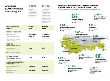 СК Дока сорт сои