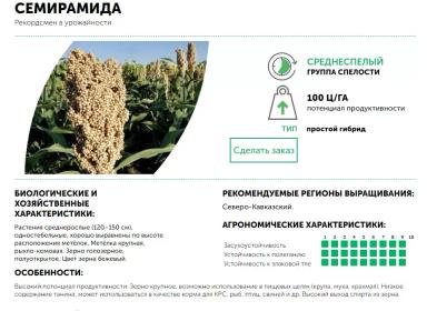 Семирамида - гибрид сорго зернового (Sorghum bicolor (L.) Moench).