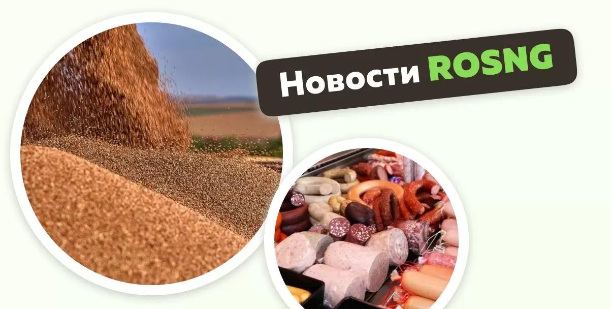 Обзор новостей за 19 октября