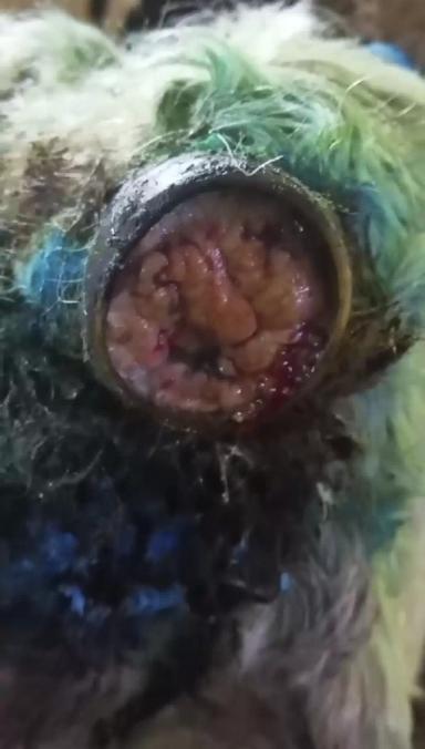 Обезвоживание.