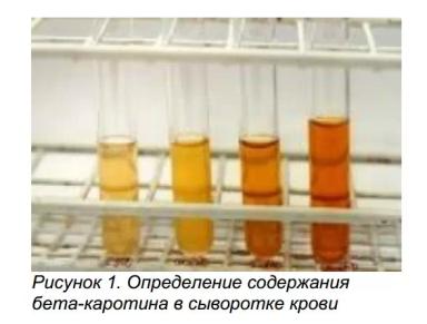 Обеспечение молочных коров бета-каротином
