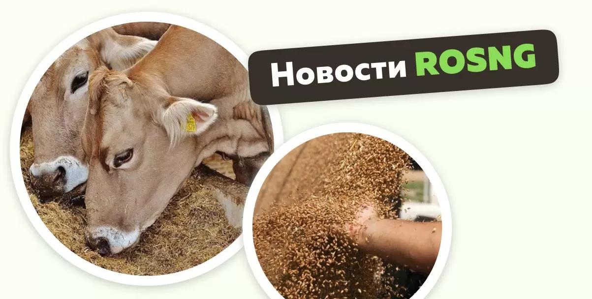 Обзор новостей за 18 декабря