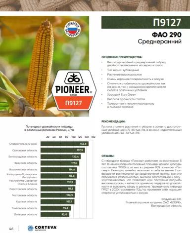 П 9127 - гибрид кукурузы Пионер
