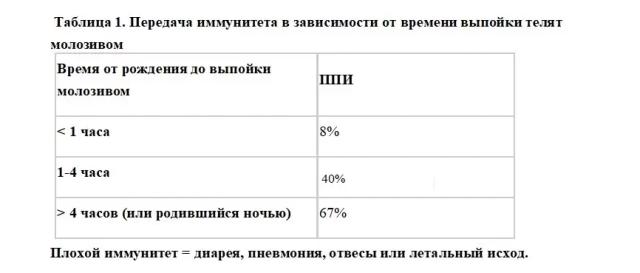 Система заготовки и оттаивания молозива своими руками