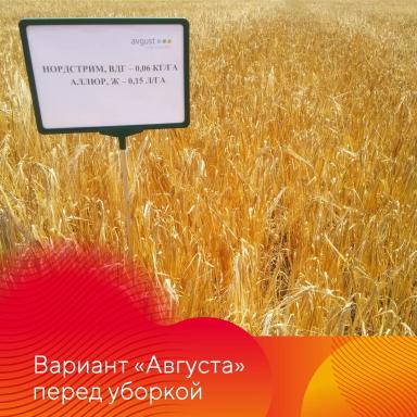 НордСтрим® – сила и надежность тройственного союза.