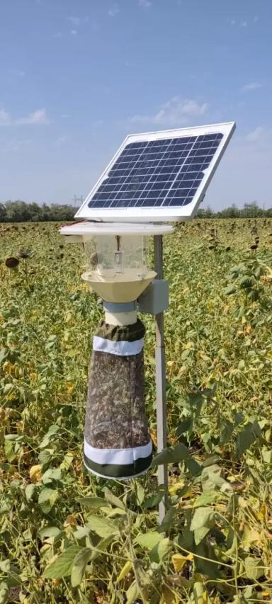 Спороловушки и светоловушки для мониторинга численности вредителей. 