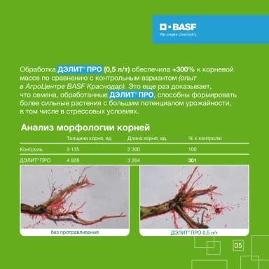 Соя: чем бережнее защита, тем выше результат