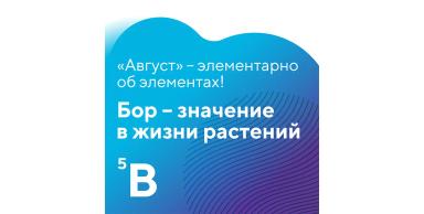 Элементарно об элементах: бор