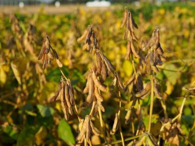 УНИКАлен во многом