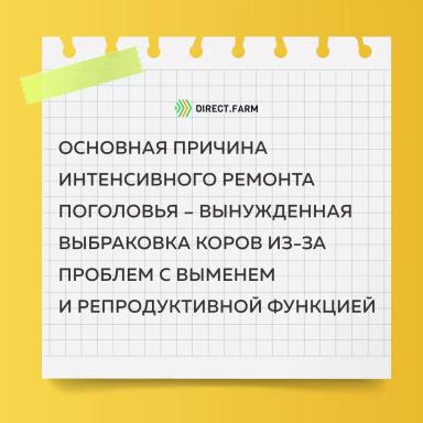 Записки животновода