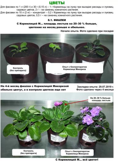 Роль микоризы в сельском хозяйстве