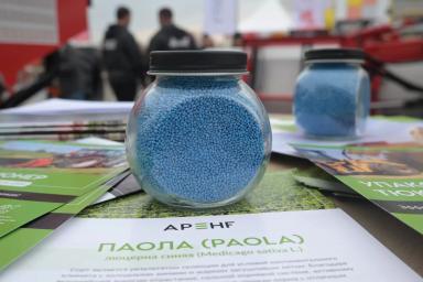 ПАОЛА (PAOLA) люцерна синяя (Medicago sativa L.)