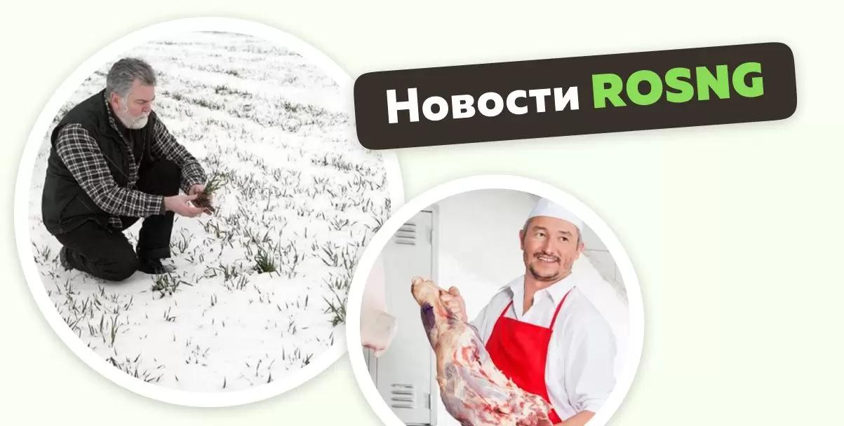 Обзор новостей за 7 декабря