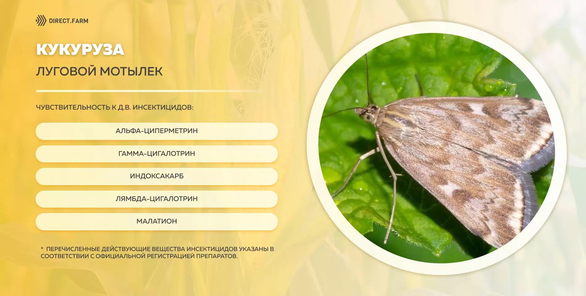 Шпаргалка д.в. против лугового мотылька