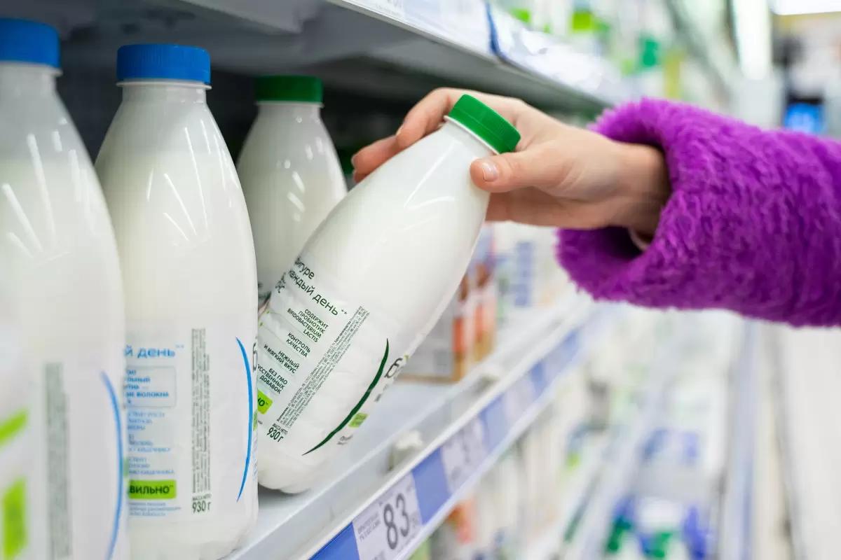 Statista: Рынок молочной продукции и яиц вырастет во всем мире