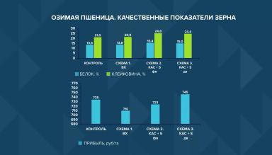 Минеральное питание на нулевой технологии No-Till (эксперимент)