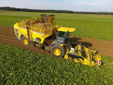 Три богатыря на свекольном поле: ROPA, GRIMME и HOLMER (Часть 1)