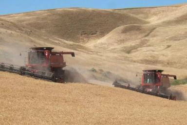 КАК ПРОКАЧАТЬ ЛЮБОЙ КОМБАЙН: новое решение от AGCO...