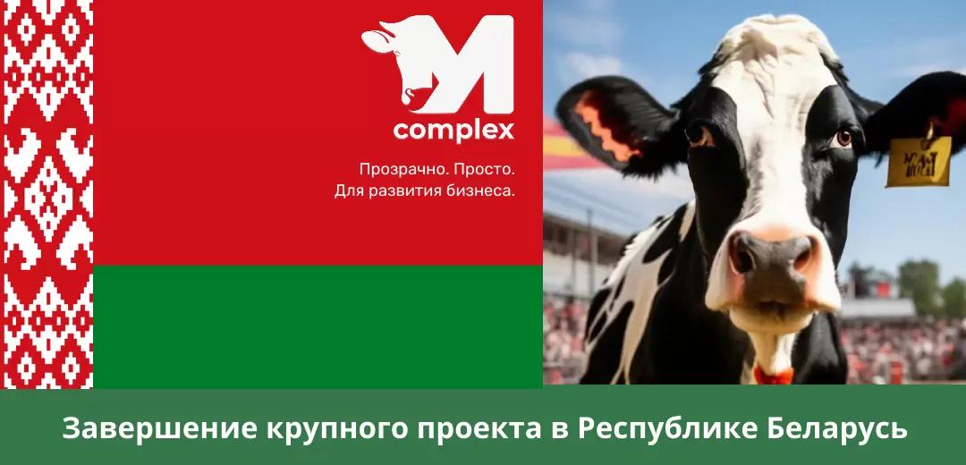 Успешное завершение крупного проекта в Республике Беларусь