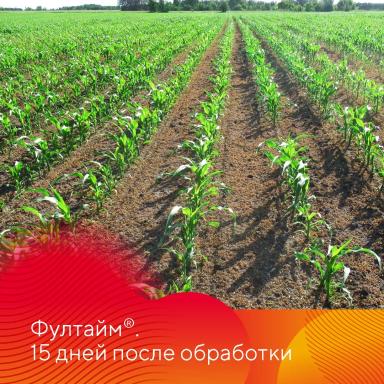 Работает Фултайм®!