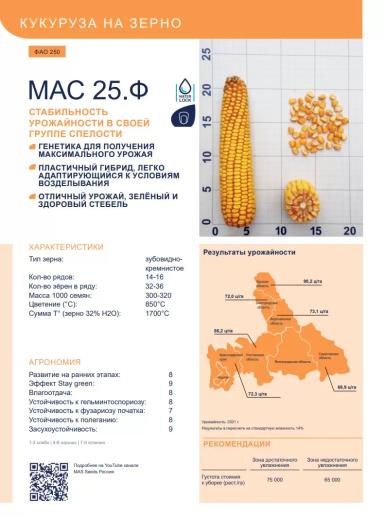 МАС 25 Ф - гибрид кукурузы ( Zea mays L.).