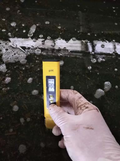 Базовые растворы для копытных ванн